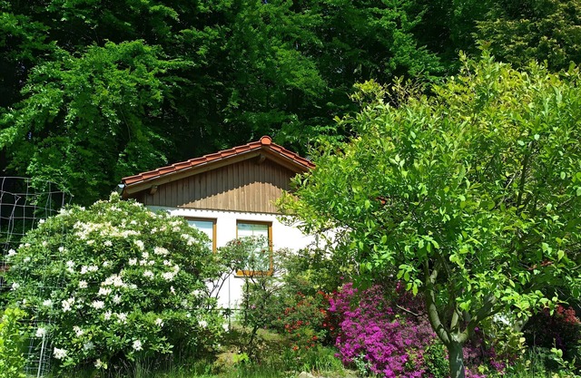 Holiday Home by the Forest with South-Facing View
