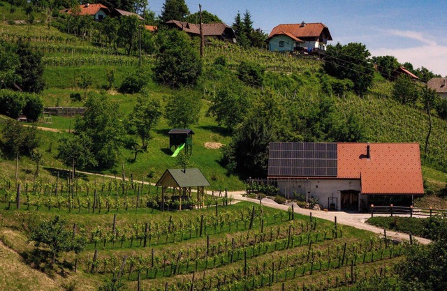 Casa vacacional con sauna y bodega