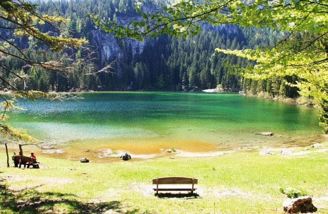CASA DE VACACIONES IRIS, Trentino, Val di Non, unas vacaciones relajantes en contacto con la naturaleza