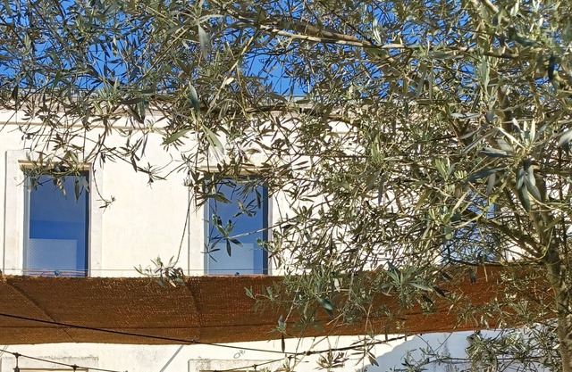 Holiday house (with 2 Cats) near Sea La Rochelle and Châtelaillon-Plage