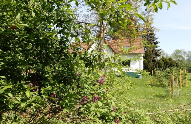 Vacaciones en el centro de Biosphäreservat Burg im Spreewald