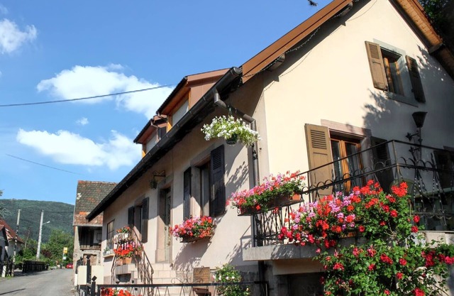 Homerez - Encantadora casa en Wuenheim con jardín y terraza
