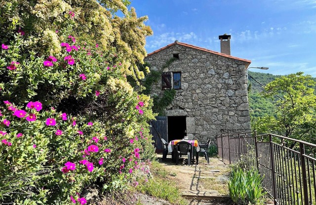 Homerez - Casa en Valleraugue, piscina.