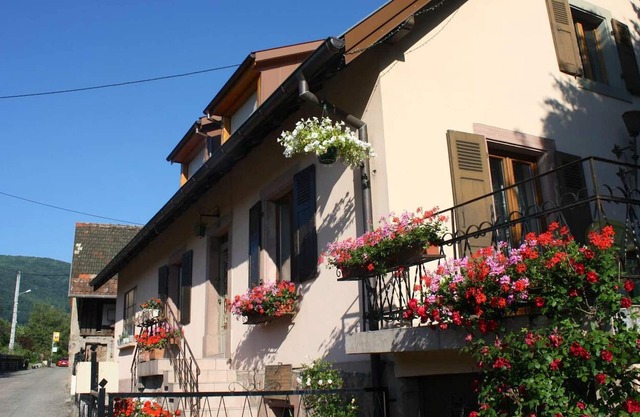 Homerez - Espaciosa casa para 7 pers. con terraza en Wuenheim