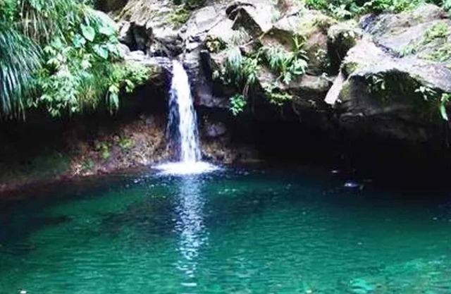 Homerez - Estudio en Capesterre-Belle-Eau