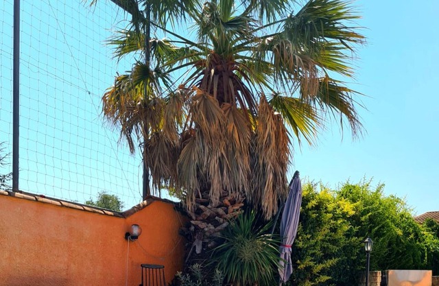 Homerez - Villa para 6 pers. con piscina, jardín y terraza en Marguerittes