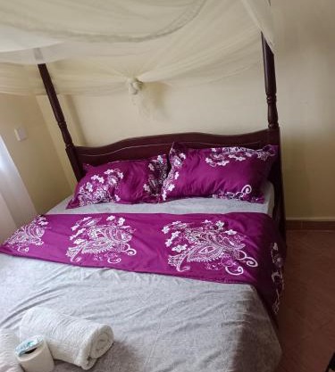 Hossanah Furnished one bedroom in Kasarani,Nairobi