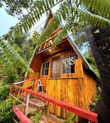 Hostal El Pital Lecho de Flores