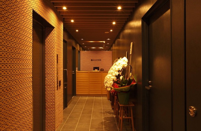 HOTEL AMANEK Ginza East