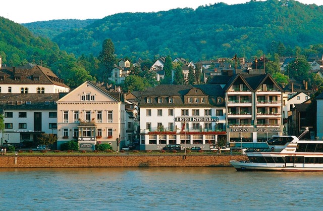 Hotel y casa de huéspedes Rheinlust