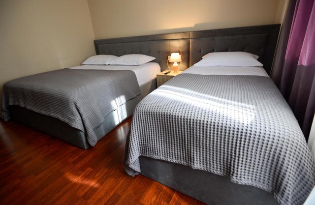 Hotel Niku