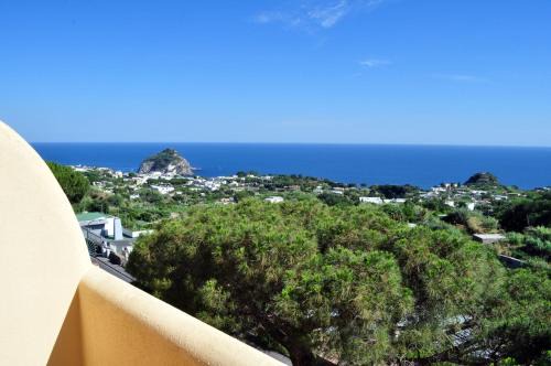 Hotel Polito