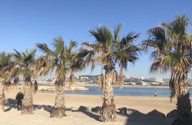 Casa / villa / chalet - Marseille