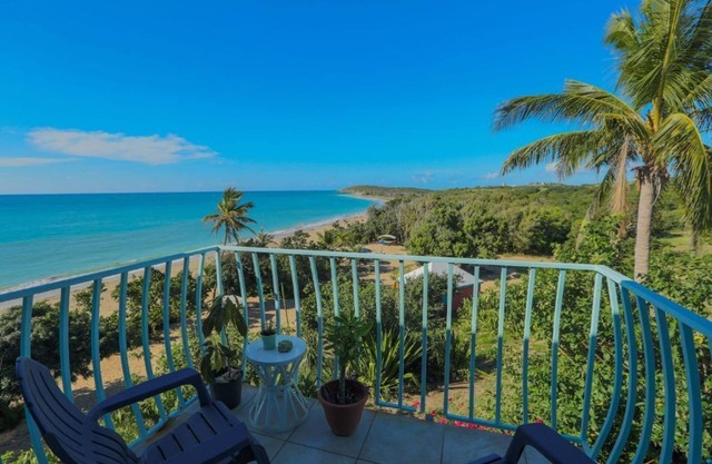 Hummingbird Beach Hideaway - all 6 apts & grounds