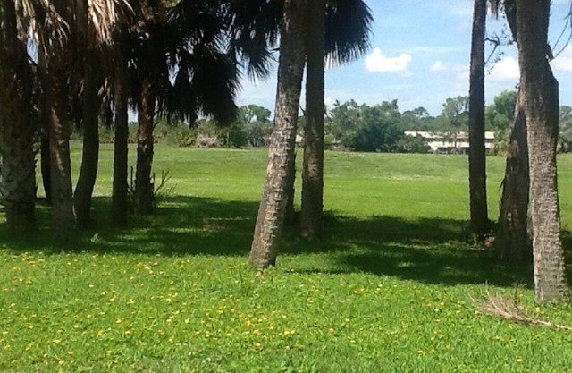 Hurricane Victim special offer Pool Home Nestled on the Golf Course