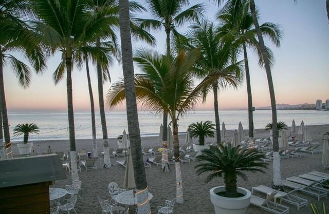 Icon Vallarta
