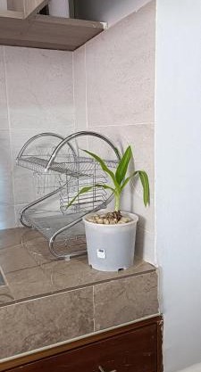 Ilao Homes- Studio Apartment