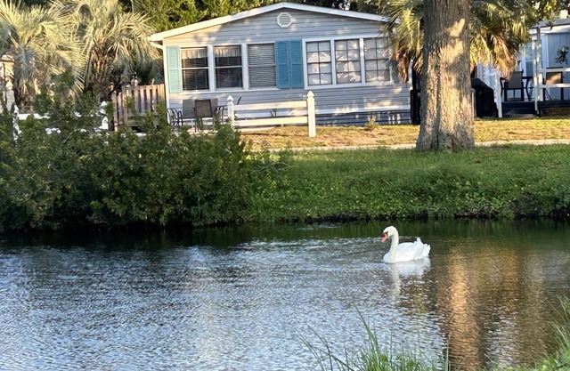 Vista al estanque, a pie de playa Piscina caliente, 3 Bdr 2 Ba, carrito de golf, ropa de cama, ubicación!