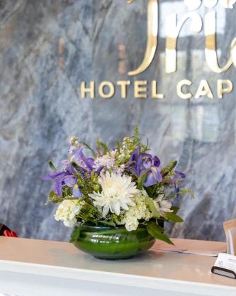Iris Hotel Cape Cod