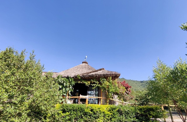 Jacaranda Bush Camp
