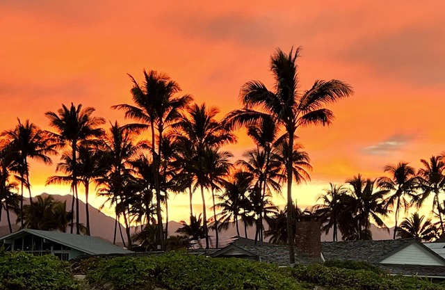 42 'a la playa de Kailua, su acceso perfecto