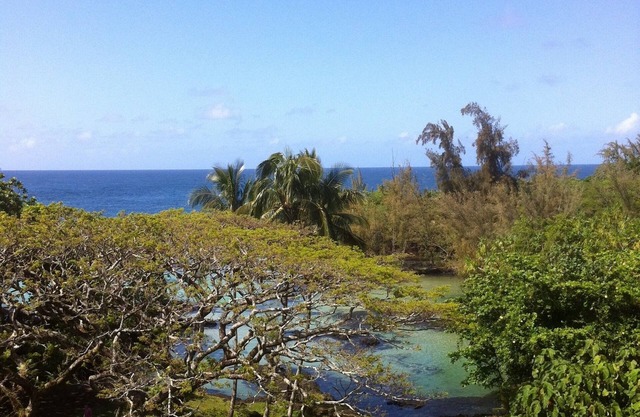 KAILANI en Mauna Loa Shores, condominio fantástico, nadar con las tortugas marinas