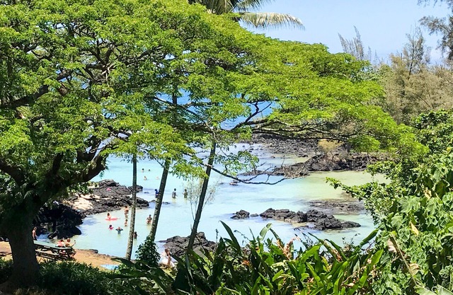 KeALOHA - INCREÍBLES vistas, espectacular parque de playa, el mejor snorkeling, tortugas