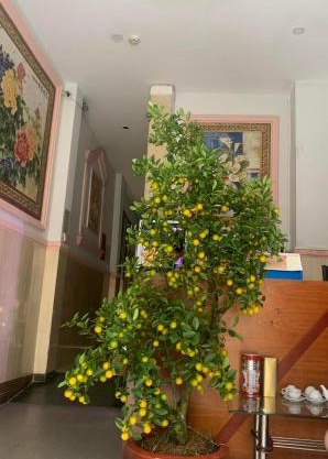 Khách Sạn Ánh Nguyệt 1