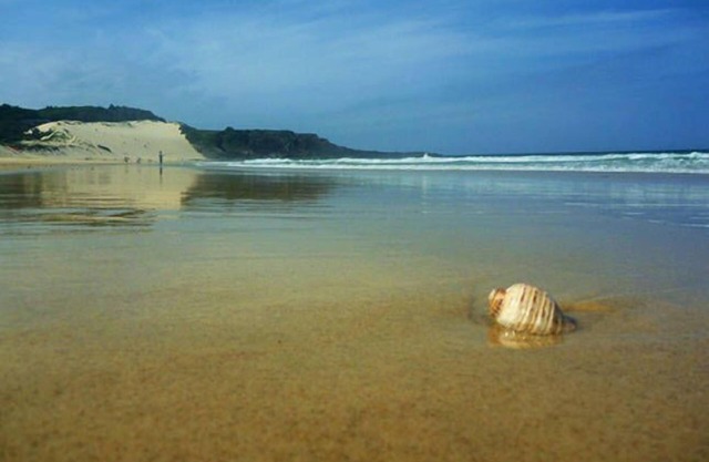CONTRAGOLPEAR BEACH CABANA @ FORSTER