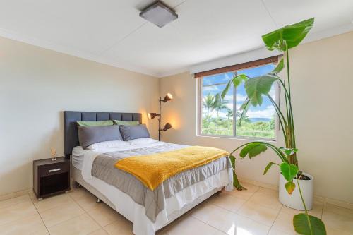Kingsford Apartments Auchenflower