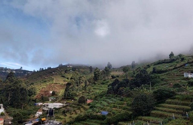 Kodai Breeze