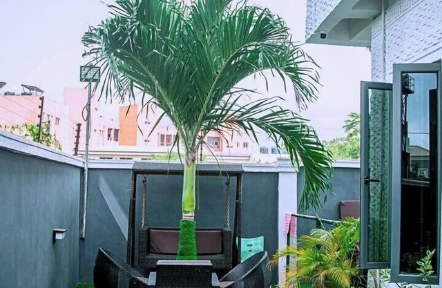 Kodeland Apartment