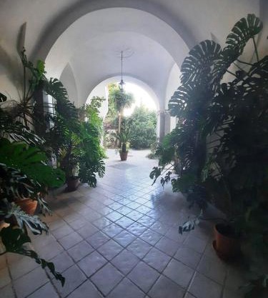 La casa delle Camelie