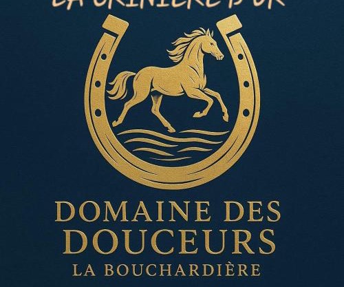 La Crinière d'Or Une chambre raffinée pour une parenthèse de douceur en normandie