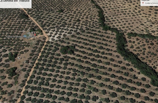Cortijo la Dehesa del Trabuco