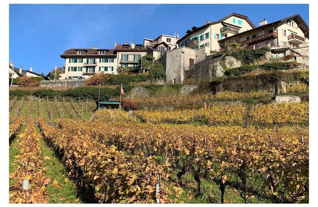 La Vigneronne, Jardín