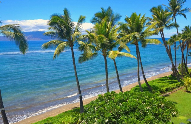 Lahaina Shores 421 - Studio Oceanfront Condo