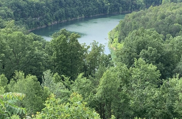¡Nuevo listado! Las mejores vistas al lago, capacidad para 14, apto para niños, en un complejo privado