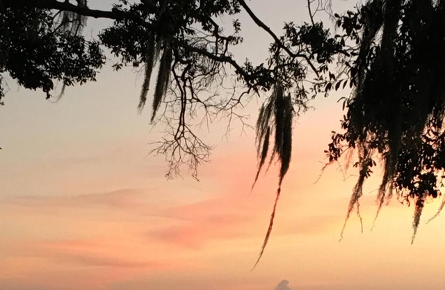 LAKE FRONT HIDEAWAY a 2 millas de la I-4 entre TAMPA y ORLANDO