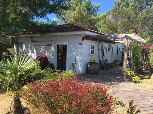 LANDES CHALET 8 personnes