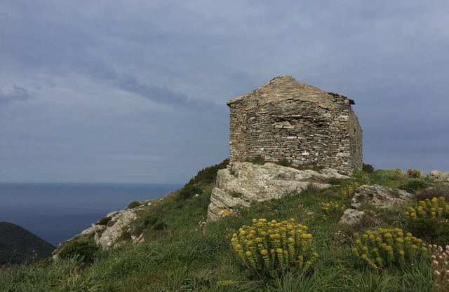gran estudio de 2 habitaciones en la aldea de Cap Corse a 10 minutos del mar