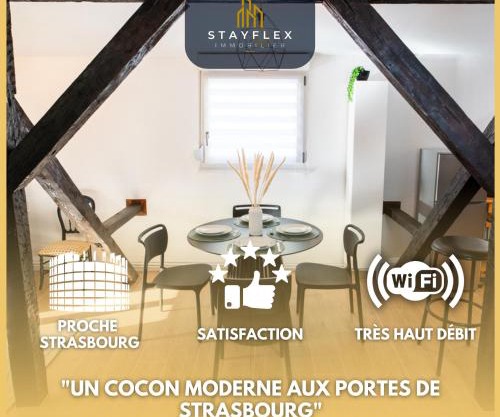 Le Cosy du Brasseur - Magnifique Duplex Schiltigheim, Proche Strasbourg