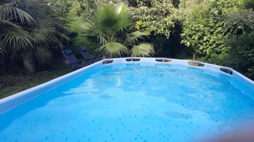 Le Cycas de la Palmeraie