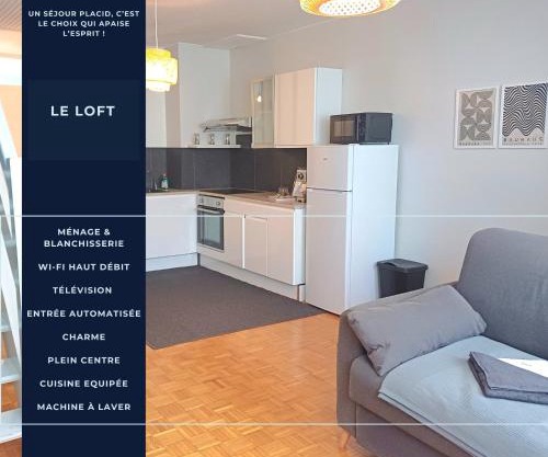 Le Loft - En Plein Centre Très Spacieux