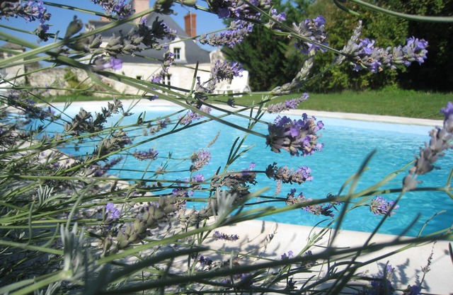 Le Petit Manoir Pabellón en el Valle del Loira