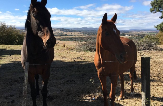 Leichhardt Farm Cottage - 10 minutos a CBD
