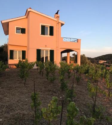Les Oliviers Villa with Sea view on Petani Beach