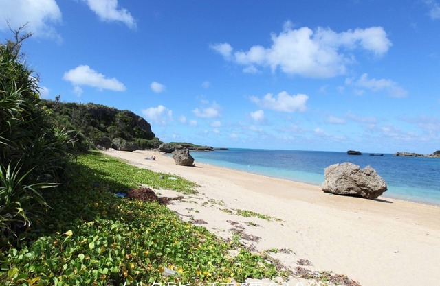 Limited to 2 groups per day Glamping experience / Uruma Okinawa