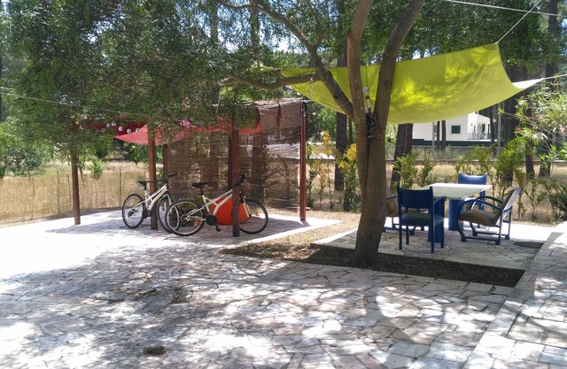 Pequeña casa de ocio - Amazing Leisures, AL
