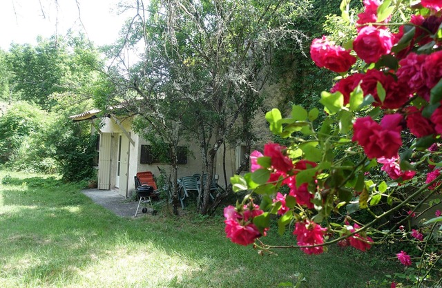 Little Mas en plena naturaleza